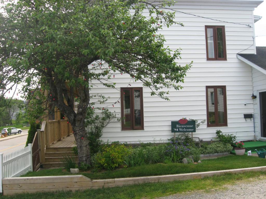 Gite Au Vieux Pommier Тадусак Екстериор снимка