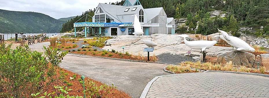 Gite Au Vieux Pommier Тадусак Екстериор снимка
